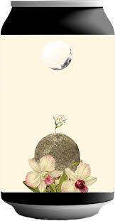 Kulture Ale LL Stout 330ml